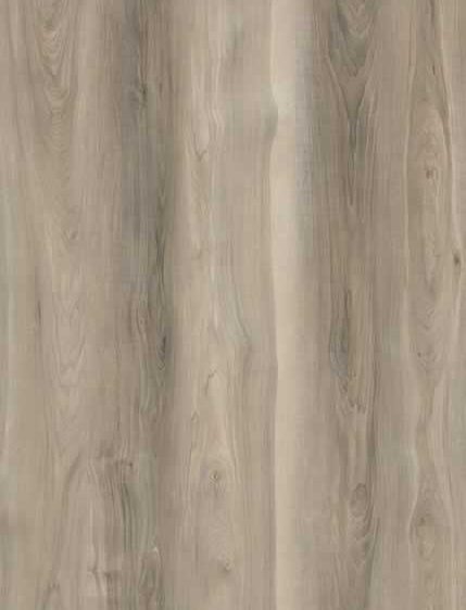 AR111 Sierra Sands