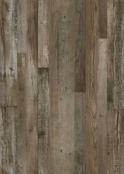 AR141 Petrified Forest Lite