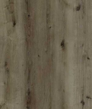 AR146 Oceanside Lite