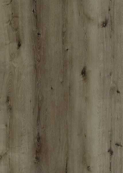 AR146 Oceanside Lite