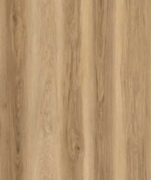 AR170 Carolina Hickory