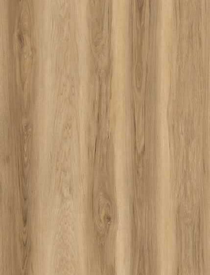 AR170 Carolina Hickory