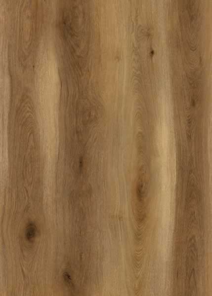 AR172 Stanford Oak