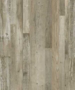 AR136 Everstill Forest Lite