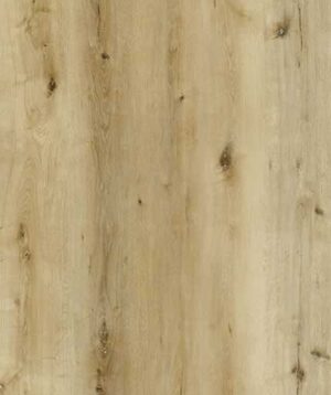 AR137 Cherry Point Lite