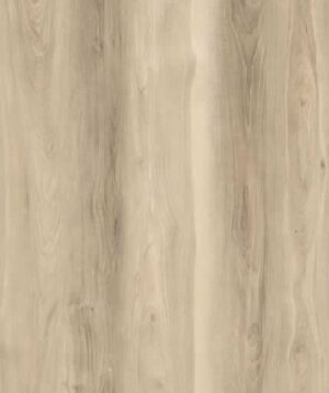 AR139 Kaneohe Bay Lite