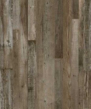 AR141 Petrified Forest Lite