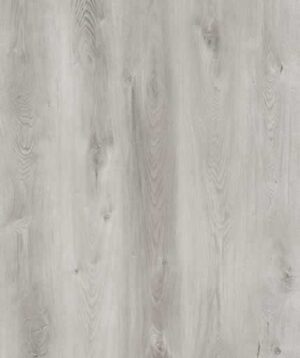 AR142 Lake Lanier Lite