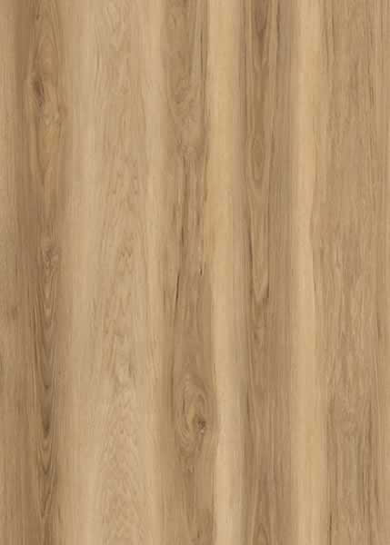 AR170 Carolina Hickory